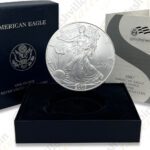 2007-W Burnished Uncirculated Silver Eagle