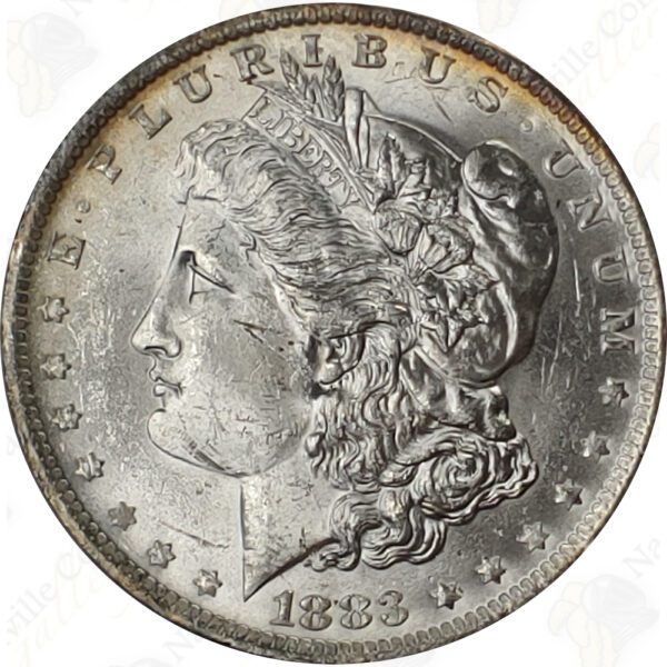 BU Pre-1921 Morgan Silver Dollar