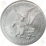 2021-W (Type 2) Burnished Uncirculated Silver Eagle