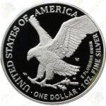 2022-W 1 oz .999 fine Proof American Silver Eagle