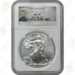 2014 American Silver Eagle - NGC MS70 Early / First Releases