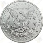 2023-P Morgan Dollar with Box and COA