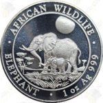 2011 Somalia 1 oz .999 fine silver Elephant