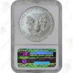 2014-W Burnished American Silver Eagle -- NGC MS70 Early Releases