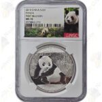 2015 China 1 oz .999 fine silver Panda -- NGC MS70 Early / First Releases