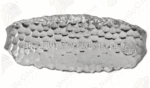 Scottsdale Mint 10 oz .999 fine silver Tombstone bar
