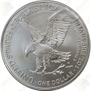 2025 1 oz .999 fine American Silver Eagle
